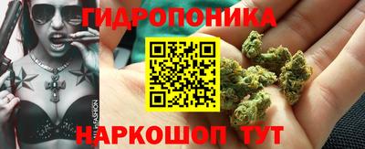 ECSTASY Кохма