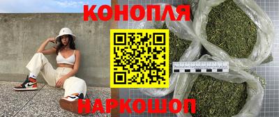 гашик Котовск