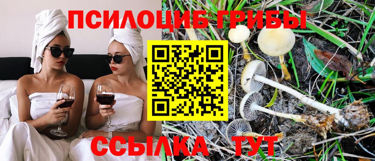Псилоцибиновые грибы Cubensis Лянтор